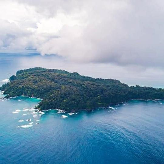 Cabinas Manolo Drake Bay, Ocean And Forest View Kültér fotó